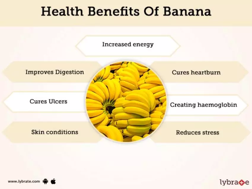 instagram health and fitness niches