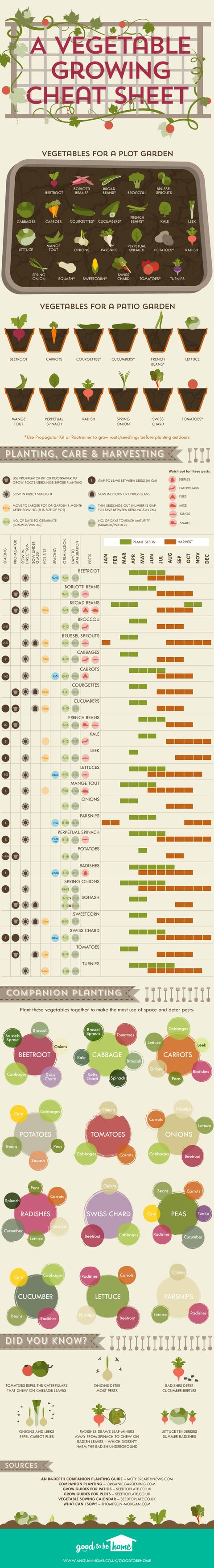 gardening ideas using wood pallets