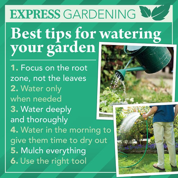 gardening info