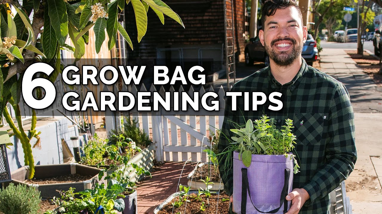 Urban Gardening Tips For Urban Backyard Gardening
