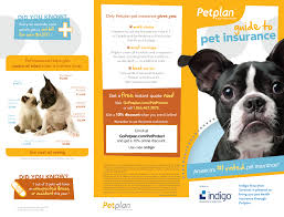 pets insurance reviews