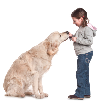 Top 5 Dog Training Options in San Francisco
