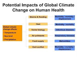 climate change essay 250 words