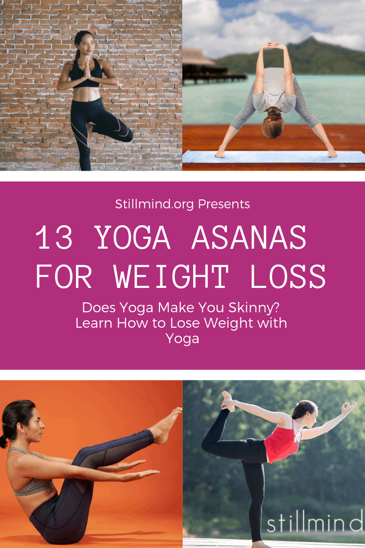 The 84 Asanas of Yoga
