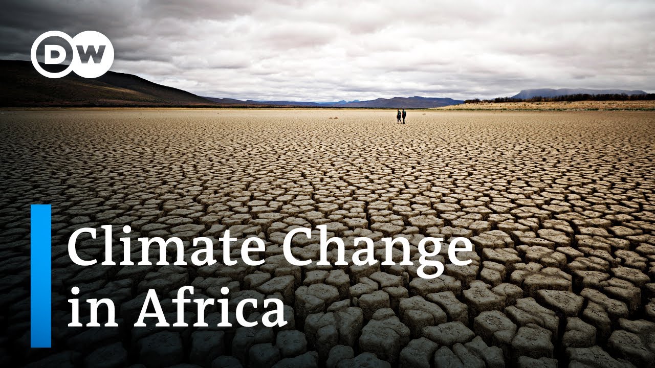 climate change articles bbc