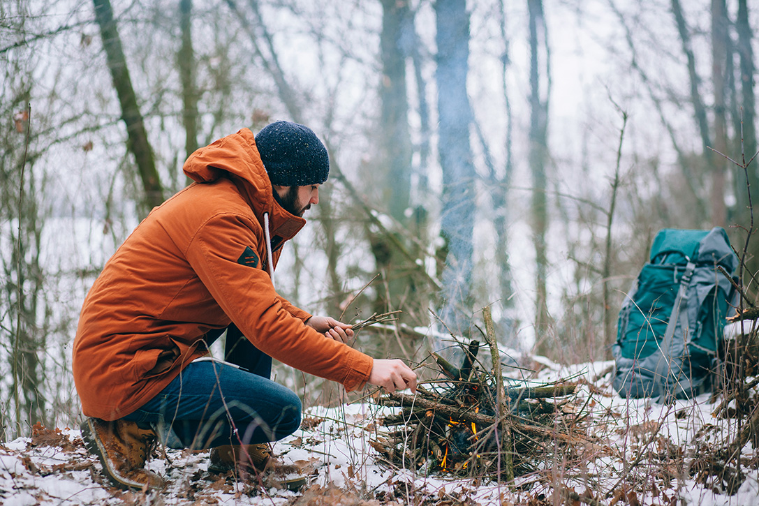 what to do when you encounter wild animals